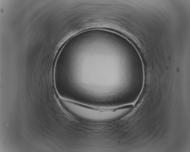 X0000086081513200704091248