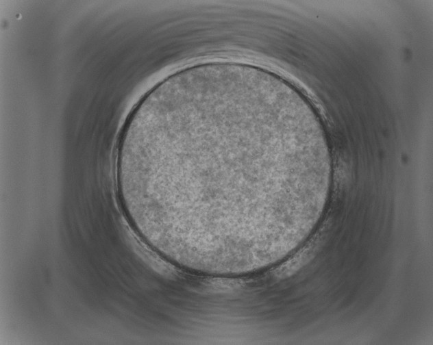 X0000086081514200704091248