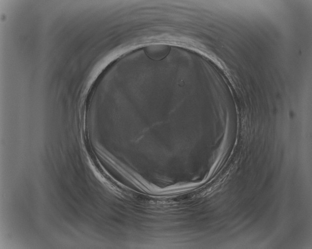 X0000086081515200704091248