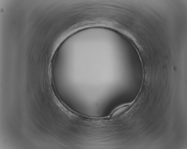 X0000086081516200704091248