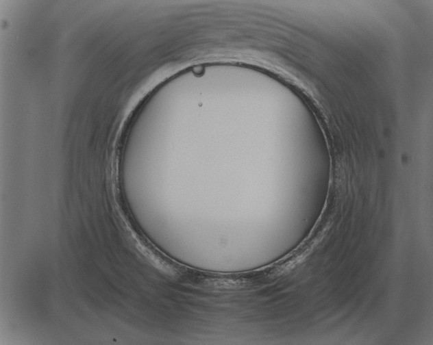 X0000086081517200704091248