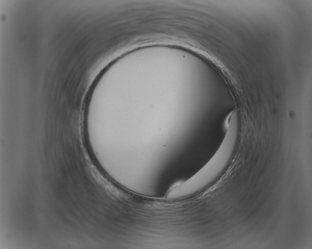 X0000086081518200704091248