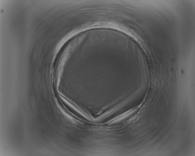 X0000086081519200704091248