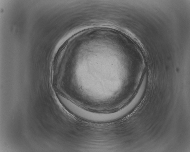 X0000086081520200704091248