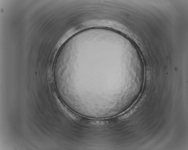 X0000086081521200704091248