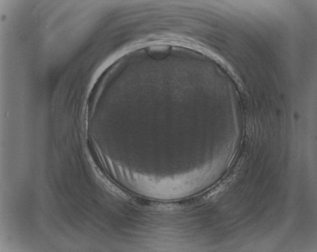 X0000086081522200704091248