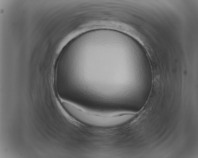 X0000086081523200704091248