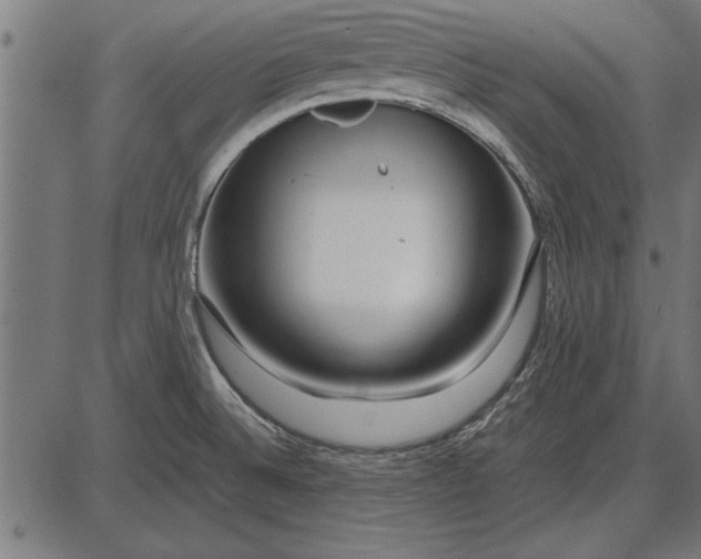 X0000086081524200704091248