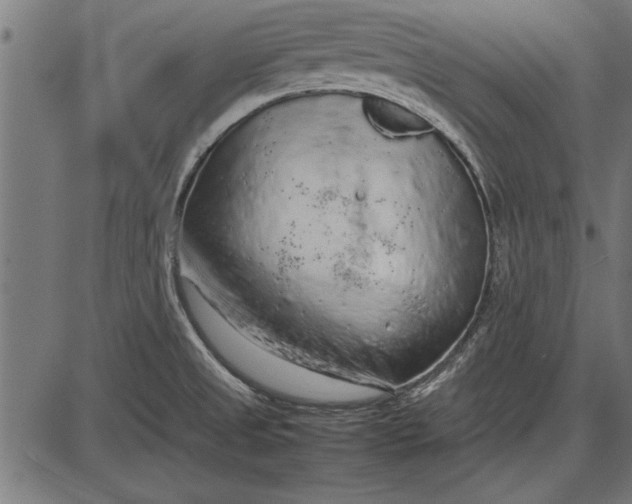 X0000086081525200704091248