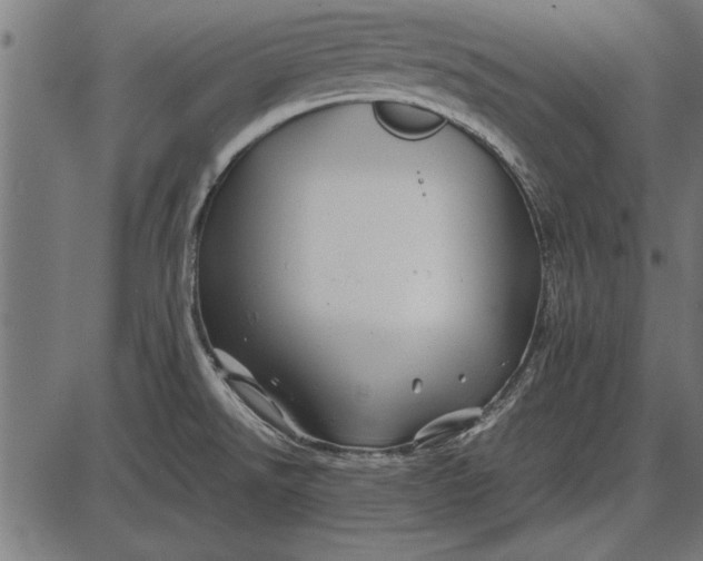 X0000086081526200704091248