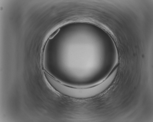 X0000086081528200704091248