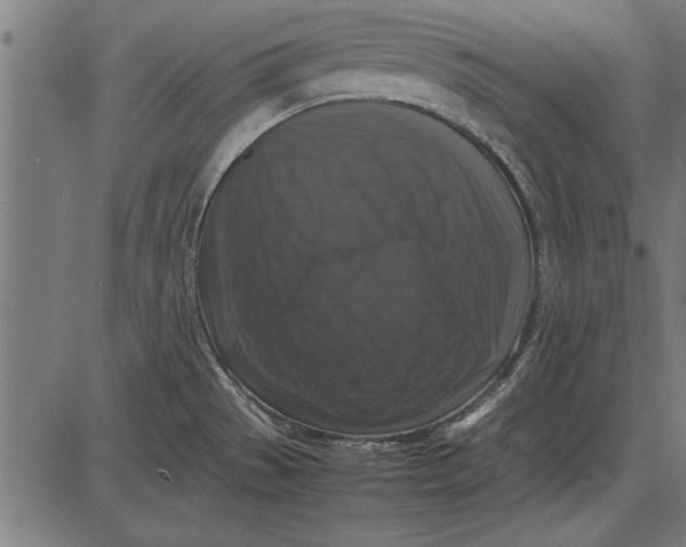 X0000086081529200704091248