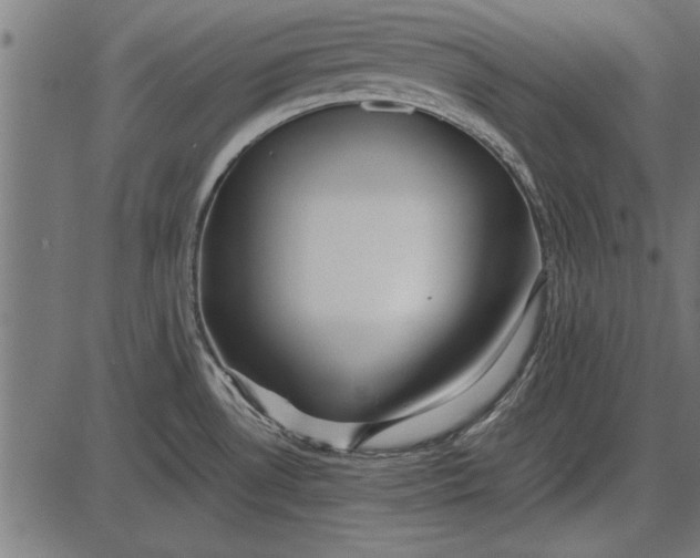 X0000086081530200704091248