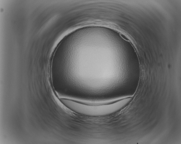 X0000086081531200704091248