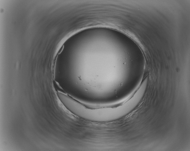 X0000086081532200704091248