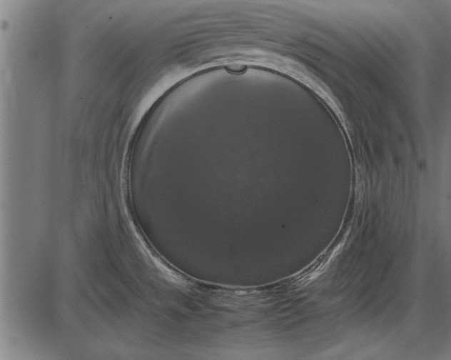 X0000086081533200704091248