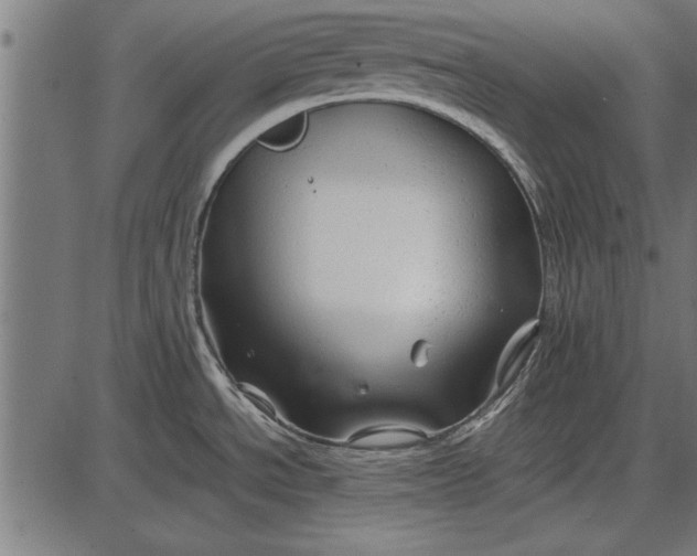 X0000086081534200704091248