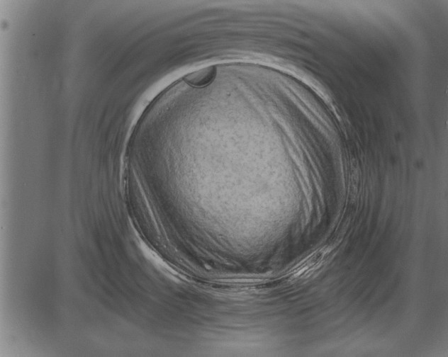 X0000086081535200704091248