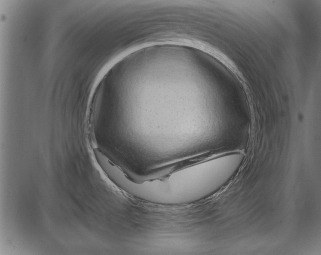 X0000086081536200704091248