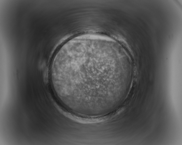 X0000086080012200704132113