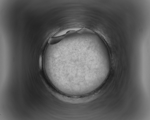 X0000086080014200704132113