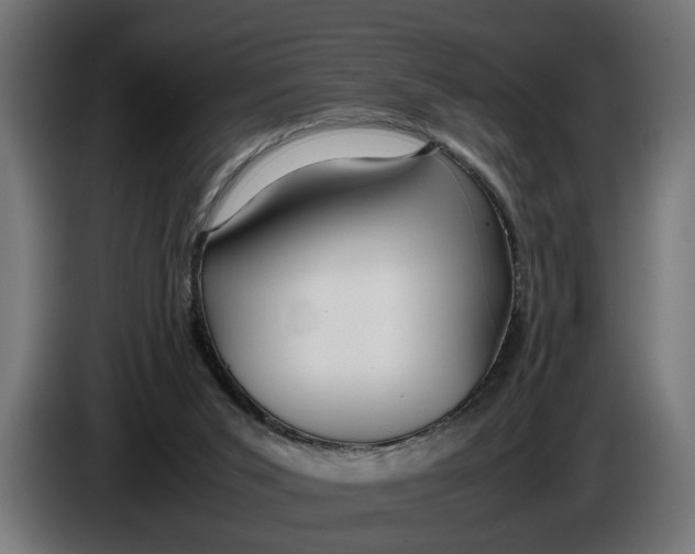 X0000086080015200704132113