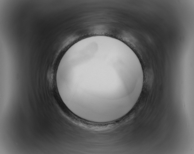 X0000086080016200704132113