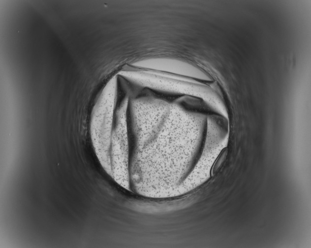 X0000086080017200704132113