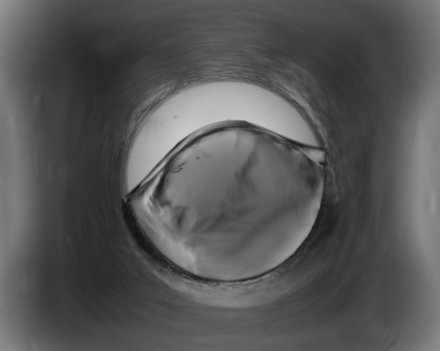 X0000086080019200704132113