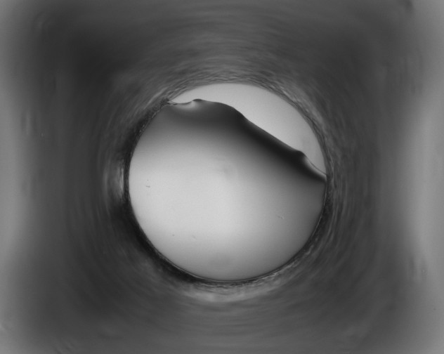 X0000086080021200704132113