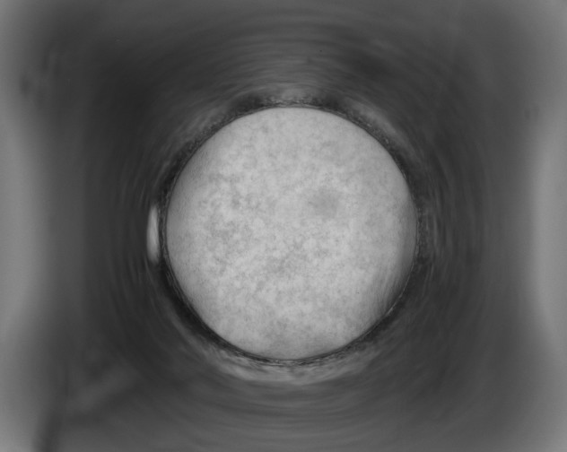 X0000086080022200704132113