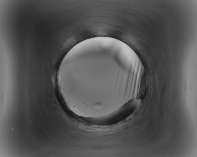 X0000086080023200704132113