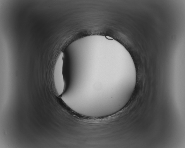 X0000086080025200704132113