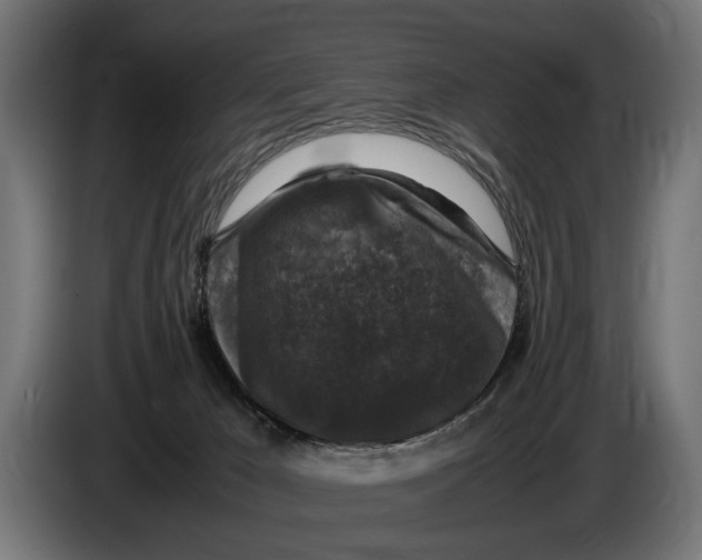 X0000086080029200704132113