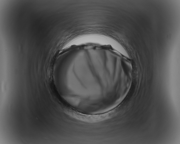 X0000086080031200704132113