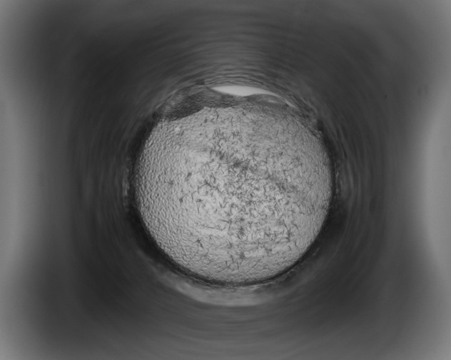 X0000086080032200704132113