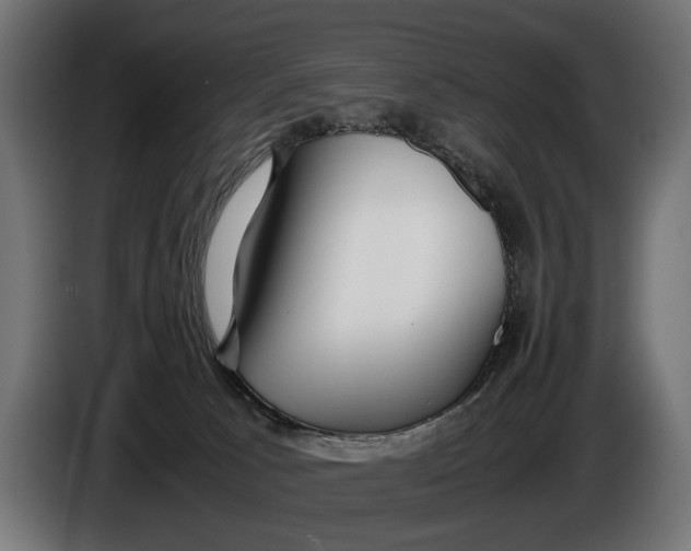 X0000086080033200704132113