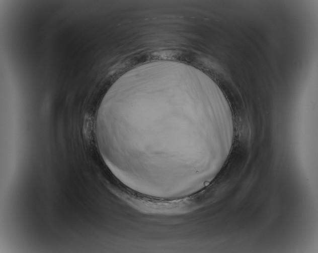 X0000086080036200704132113