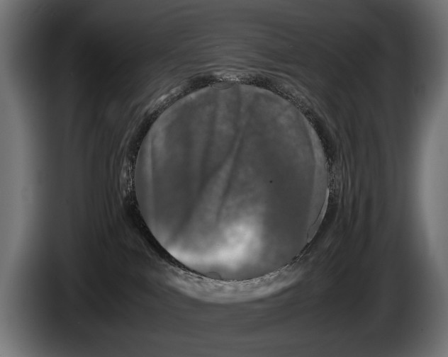 X0000086080043200704132113