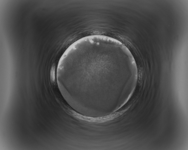 X0000086080046200704132113