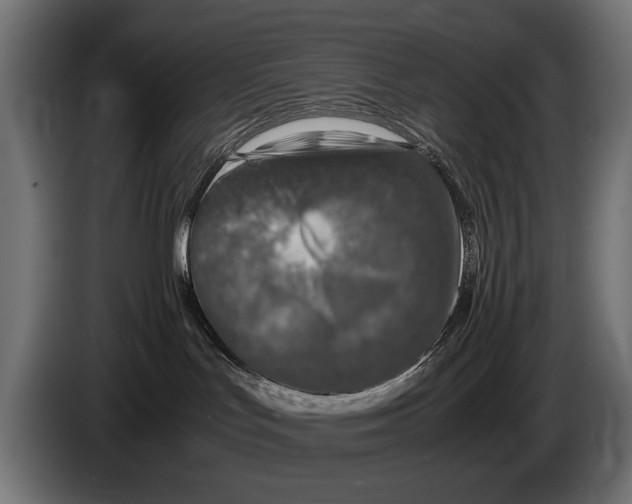 X0000086080047200704132113