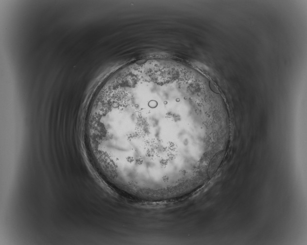 X0000086080049200704132112