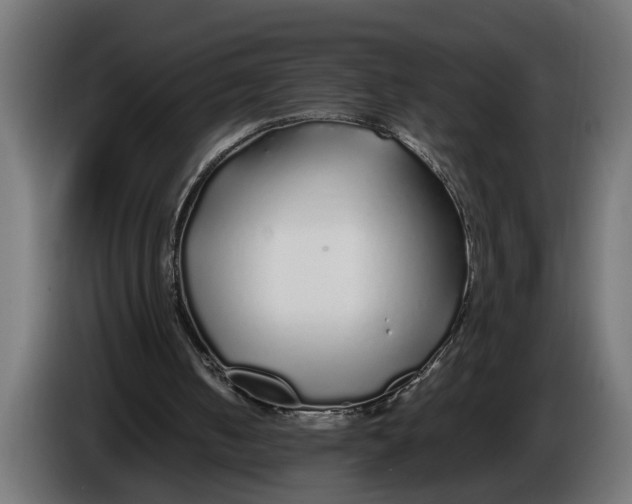 X0000086080050200704132112