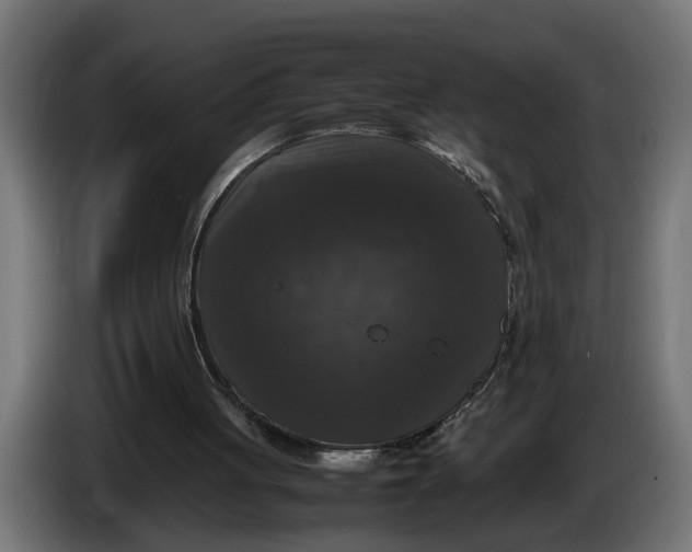 X0000086080051200704132112