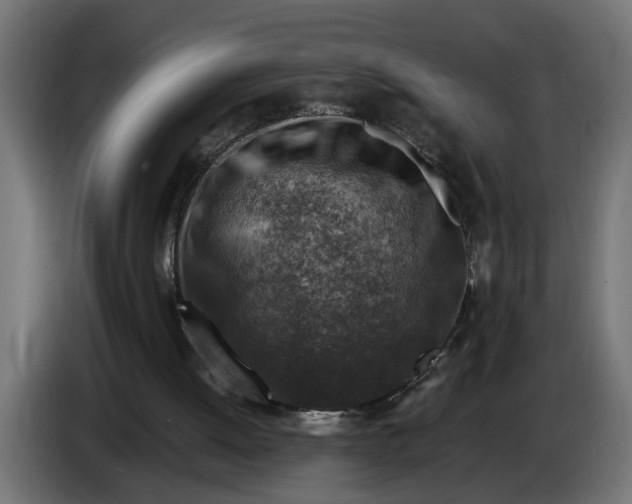 X0000086080052200704132112