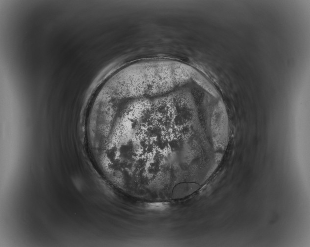 X0000086080053200704132112