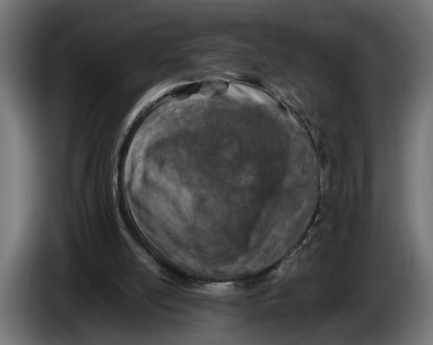 X0000086080054200704132112