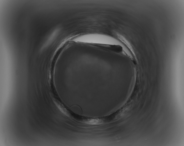 X0000086080059200704132112