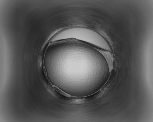 X0000086080060200704132112