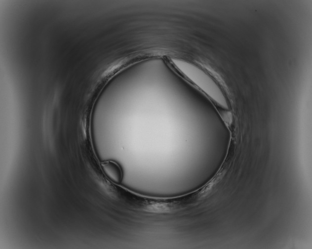 X0000086080062200704132112